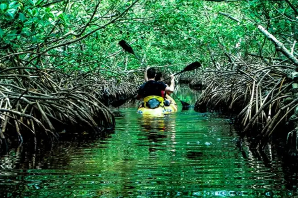 Destination-img