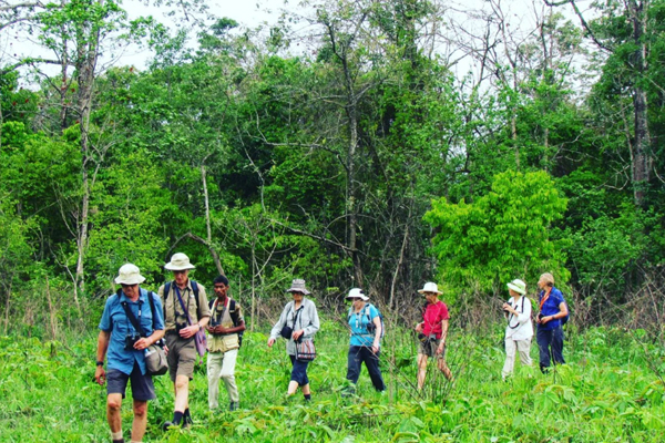 Jungle Trekking in Assam