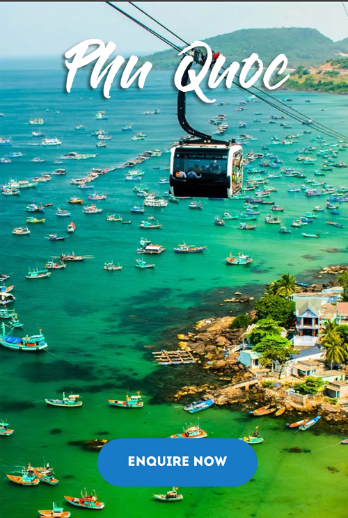 international-img