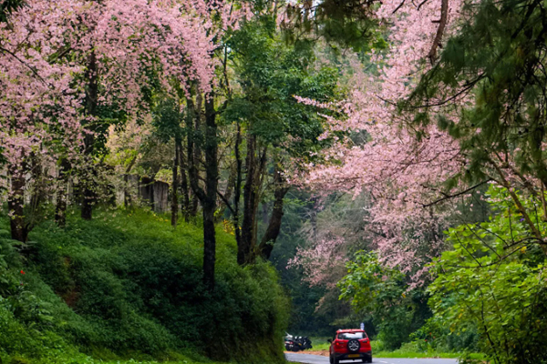 Shillong